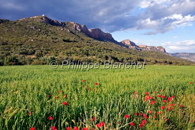 espagne catalogne 20.JPG - Monastère de MontalegreTerres de LleidaCatalogne, Espagne